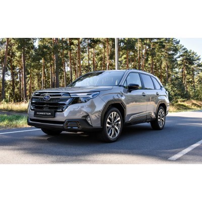 Subaru Forester 6 поколение, SL (10.2024 - н.в.) - лекало на задние стекла
