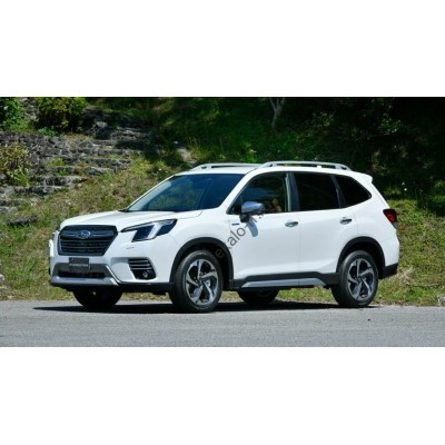 Subaru Forester 2022 - лекало для кузова