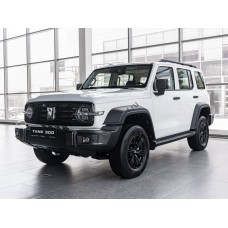 Tank 300 1 поколение (02.2023 - н.в.) лекало переднее боковое стекло Tank 300 1 поколение (02.2023 - н.в.) лекало переднее боковое стекло