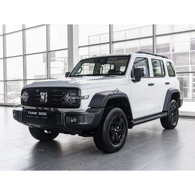 Tank 300 1 поколение (02.2023 - н.в.) Лекало переднего бокового стекла