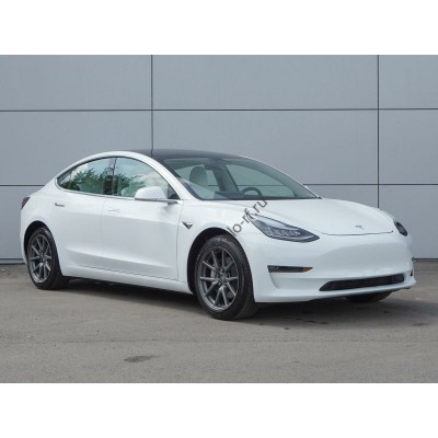 Tesla Model 3 2019 - лекало экрана мультимедиа