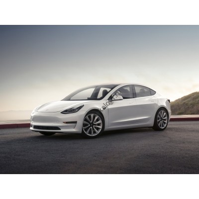 Tesla Model 3 - лекало на задние стекла