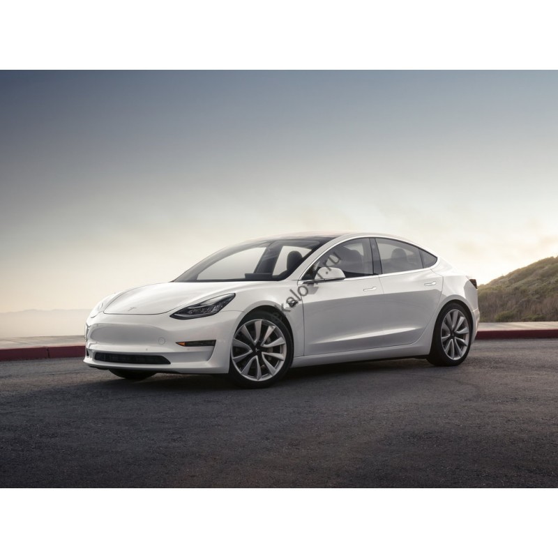 Tesla model 3 White