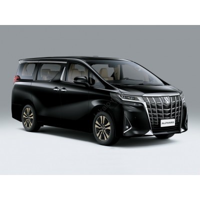 Toyota Alphard 2018 - лекало экрана мультимедиа