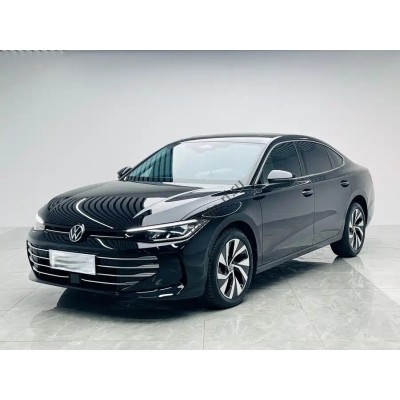 Volkswagen Passat Pro Dragon 2025 - лекало салона