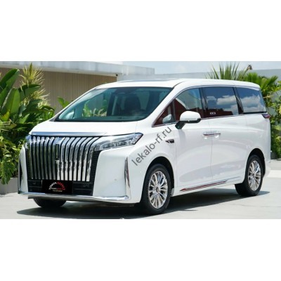 Wey Gaoshan EWB 2024 - лекало фар