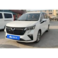 Wuling Jiachen 1 поколение (01.2022 - 2026) - лекало на задние стекла